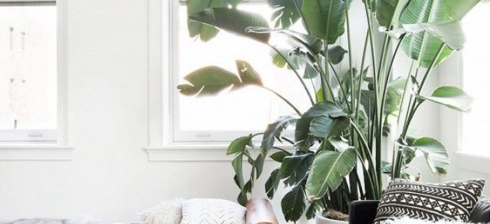 8 truques para que te sintas menos stressado em casa