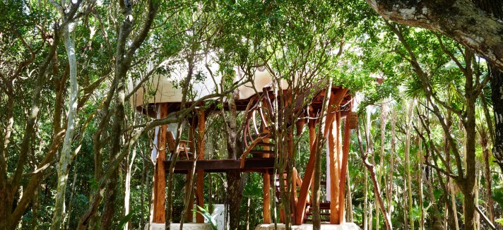 treehouse-papaya-playa-project-hotel1