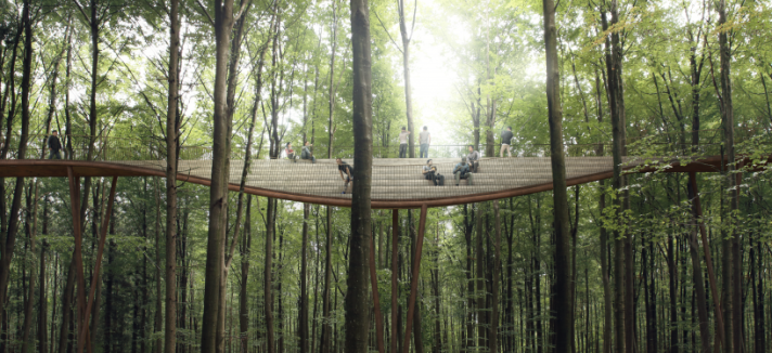 campadventure_thetreetopexperience_03_c_effekt-818x545