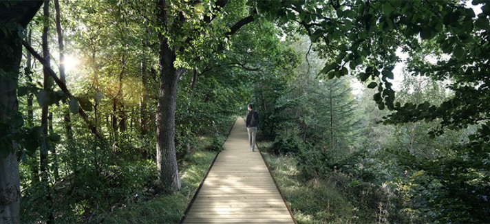 effekt-the-treetop-experience-denmark-1