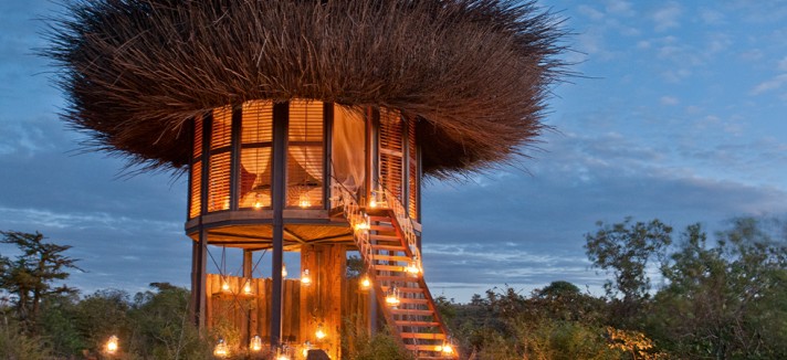 2017-segera-birds-nest-3