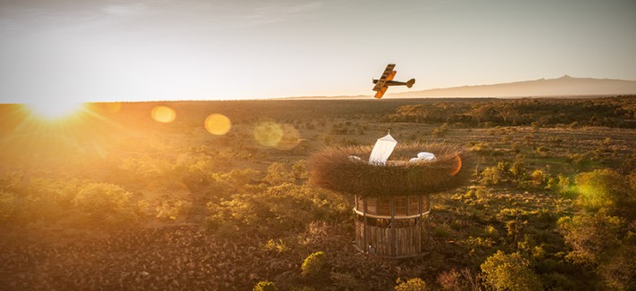 bird-nest-hotel-room-segera-retreat-kenya-nay-palad-designboom-06