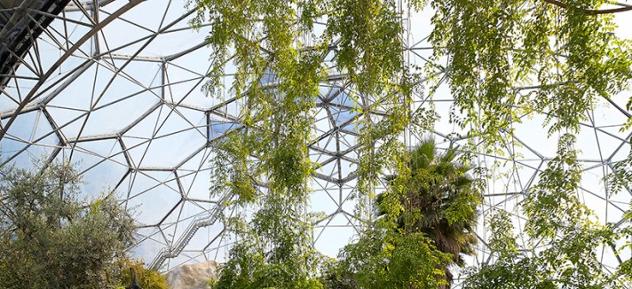 grimshaw-eden-project-biomes-cornwall-04