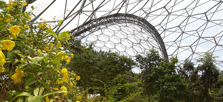 grimshaw-eden-project-biomes-cornwall-05