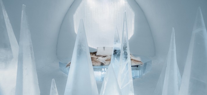 Timsam Harding & Fabián Jacquet Casado