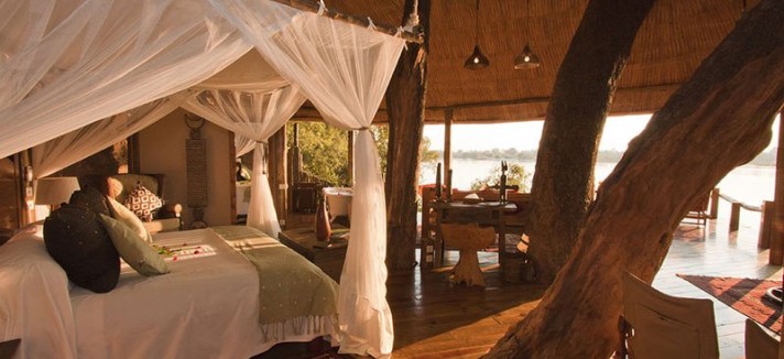 Os troncos que sustentam a casa