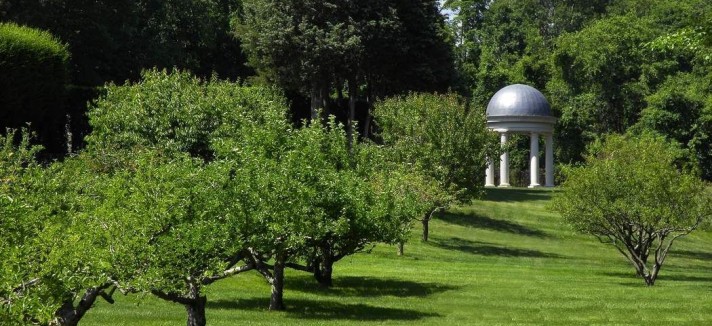 Amplos espaços para árvores e jardins