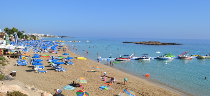 fig_tree_bay