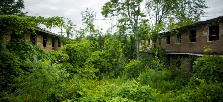 Quando a natureza recupera o seu lugar...