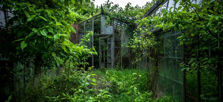 ... e a vegetação consome os espaços