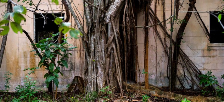 Quase irreconhecível...