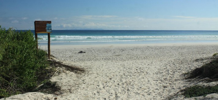 tortuga_bay-drchristin-tripadvisor