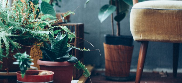 inanc-avadit-538383-unsplash