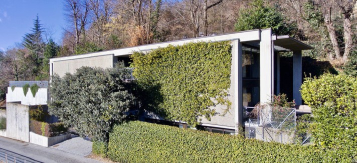 A casa está rodeada de vegetação