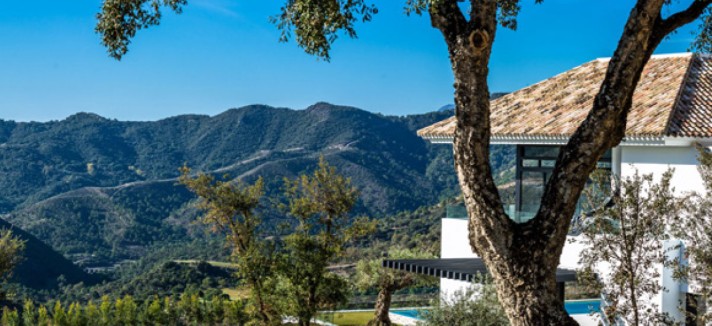 A casa está rodeada de espaços verdes...