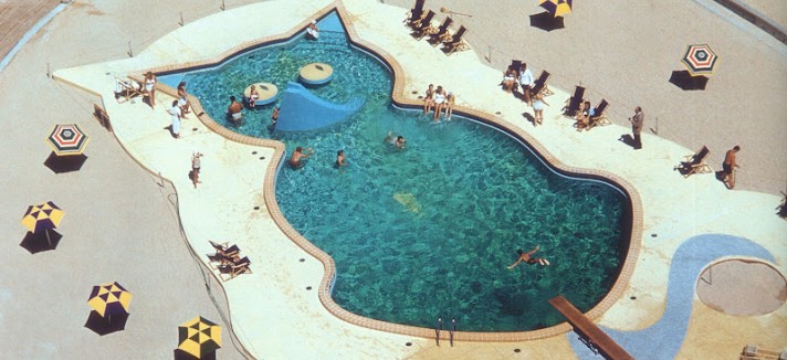 Uma piscina ou um gato? 
