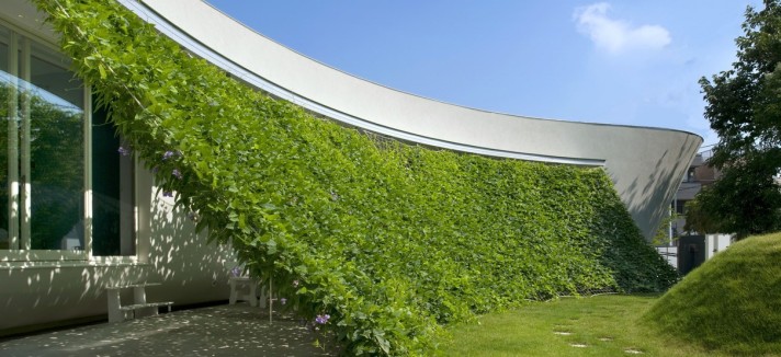 organic_design