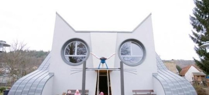 Um exemplar ideal para os amantes de gatos