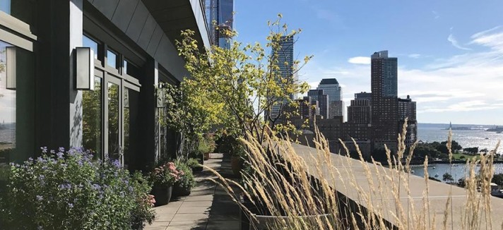 O apartamento tem vista para os arranha-céus cidade...