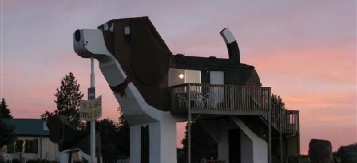 ... e aqui um cão (inspirado no cavalo de Tróia?)