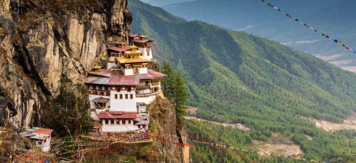 tigers-nest-gettyimages-177461966