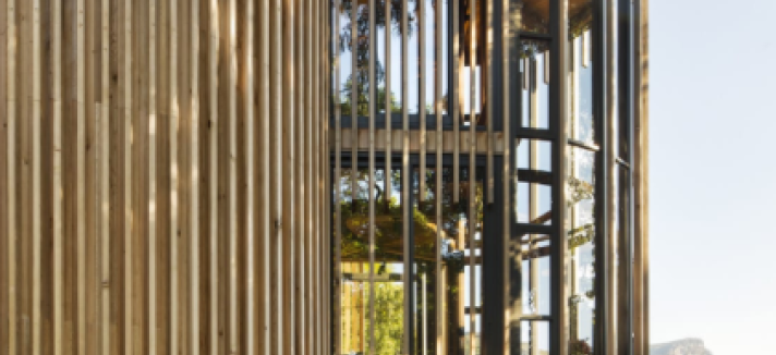 tree_house