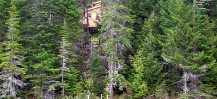 O alojamento fica escondido atrás das árvores