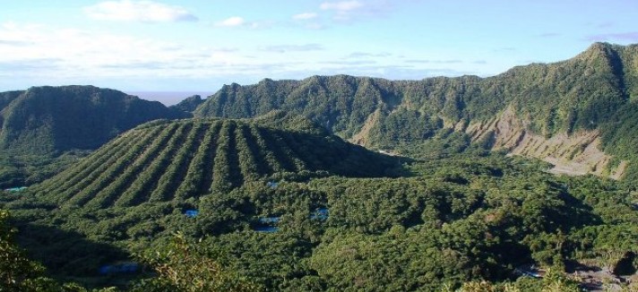 Quando a vida floresce num lugar inesperado