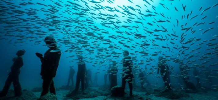 A vida marinha convive com a arte