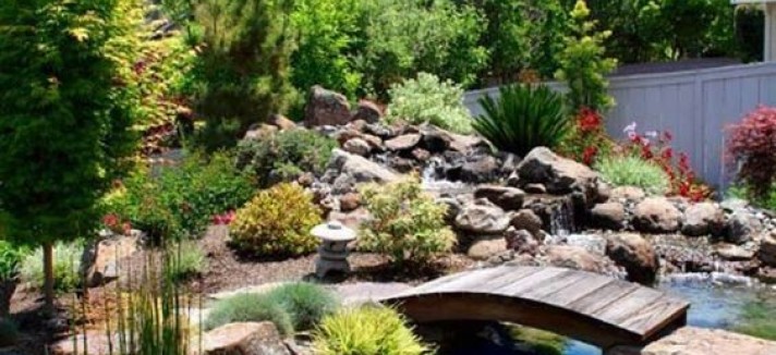 Para desfrutar da natureza