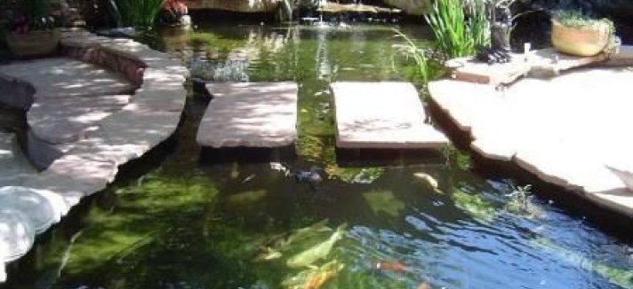 Um oásis no meio do jardim