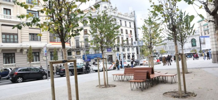 Há jardins com arbustos de diferentes cores