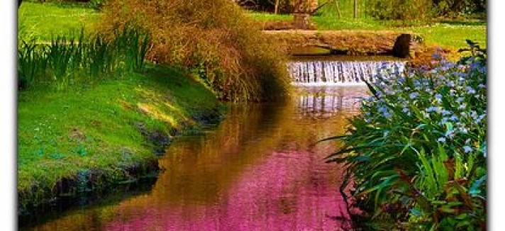 Um cenário idílico