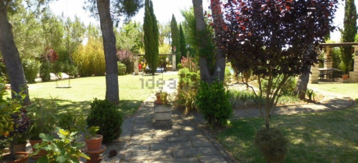 Mais uma perspetiva do jardim 