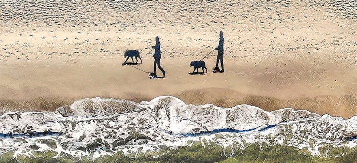 2 cães, 2 pessoas e 4 sombras