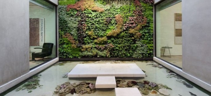 Eis o tanque de tubarões 