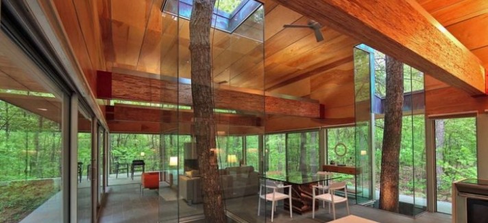 Cabana no bosque em Virginia