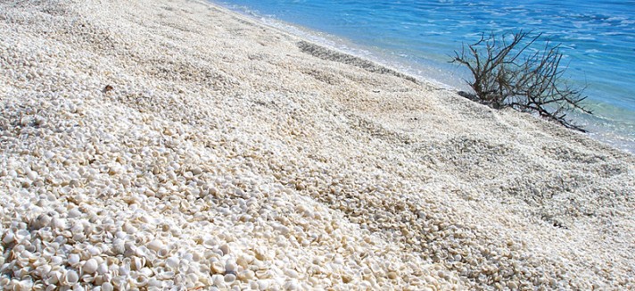 Praia das Conchas
