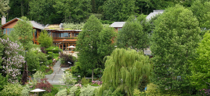 As medidas de segurança modernas do criador da Microsoft