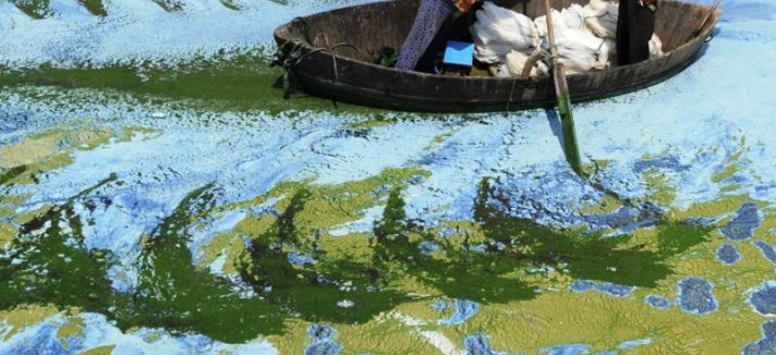 Águas completamente contaminadas