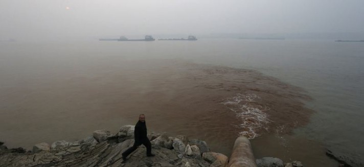 Todas as imagens são impressionantes