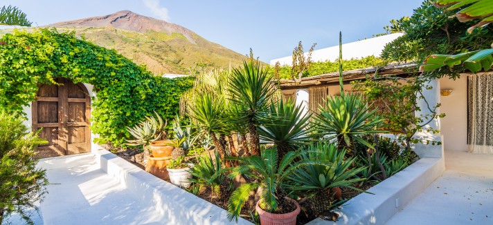 Está rodeada de natureza