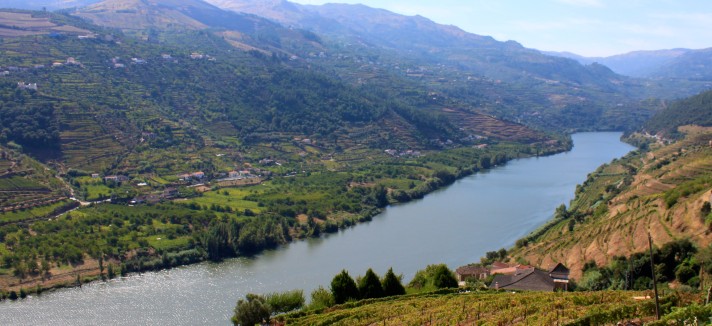 Alto Douro Vinhateiro