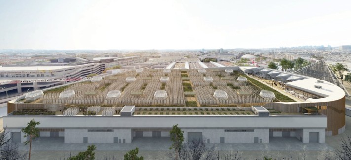 A horta vai nascer num telhado