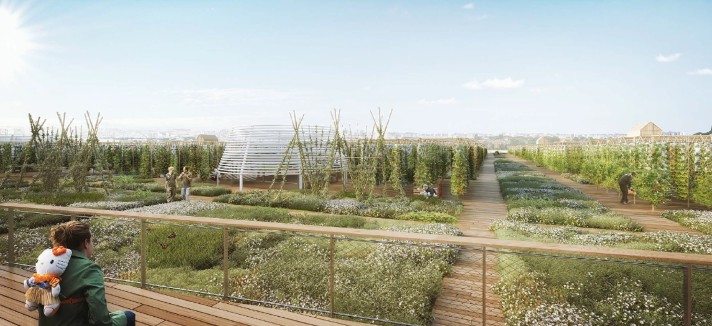 Haverá uma área comunitária de cultivo