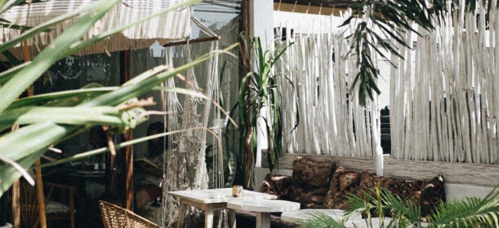 As plantas apropriadas