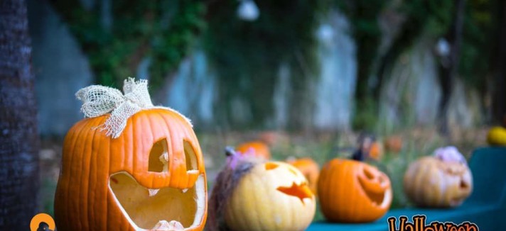 Halloween do Zoo de Lourosa