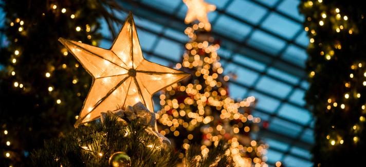 Estrela: sim ou não?