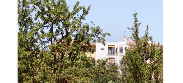 Escondida entre as árvores