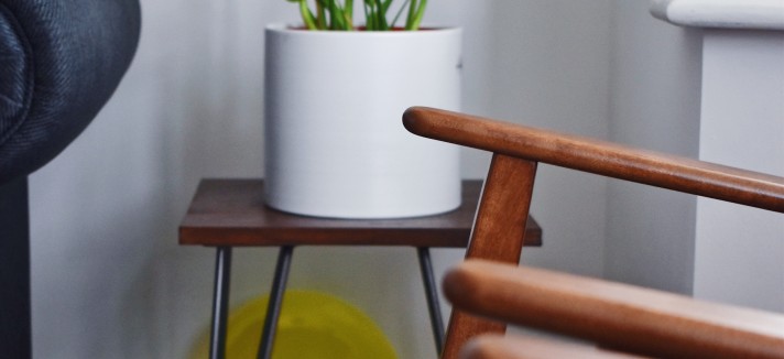 Plantas “bebés”